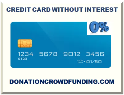 CREDIT CARD WITHOUT INTEREST 2025